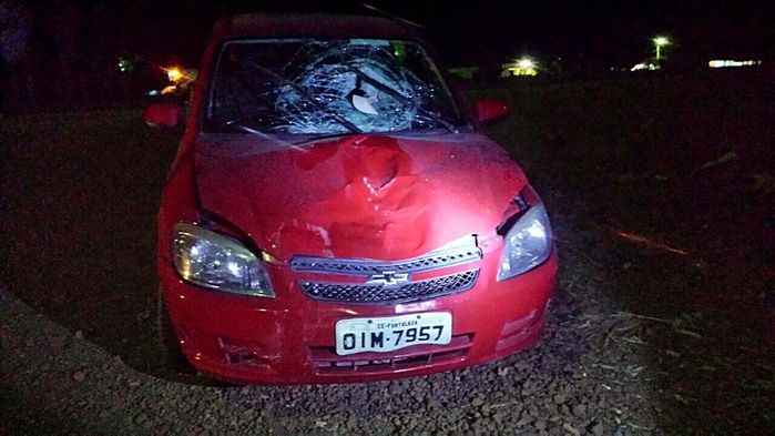 Ciclista morre após ser atropelado por estrangeiro na BR-402 - Imagem 1