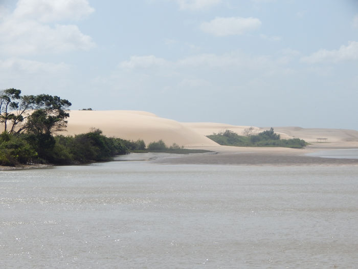 Alunos da rede estadual de Porto visitam Delta do Parnaíba - Imagem 14