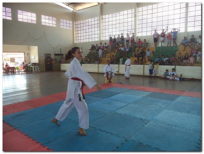 Inhuma sediou o 26º Campeonato Piauiense de Karatê - Imagem 57