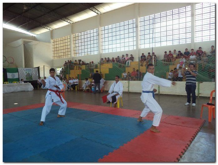 Inhuma sediou o 26º Campeonato Piauiense de Karatê - Imagem 68