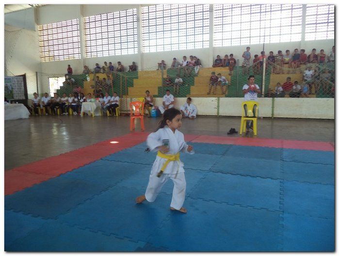 Inhuma sediou o 26º Campeonato Piauiense de Karatê - Imagem 51
