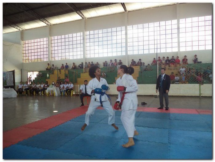 Inhuma sediou o 26º Campeonato Piauiense de Karatê - Imagem 65