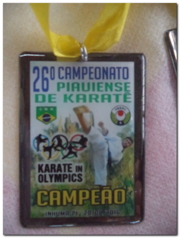 Inhuma sediou o 26º Campeonato Piauiense de Karatê - Imagem 81