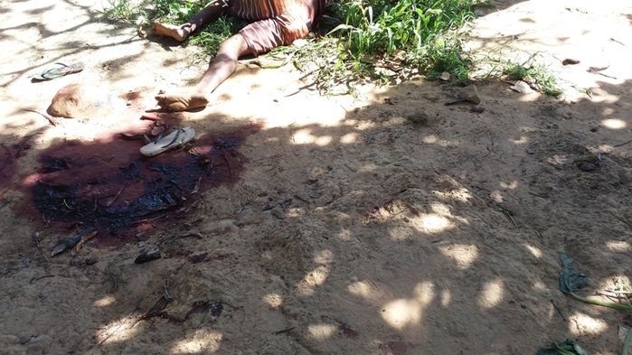 Homem é encontrado morto a golpe de faca e pauladas em quintal - Imagem 1