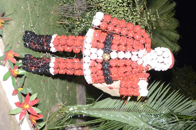 Prefeitura Inaugura Decoração Natalina - Imagem 60