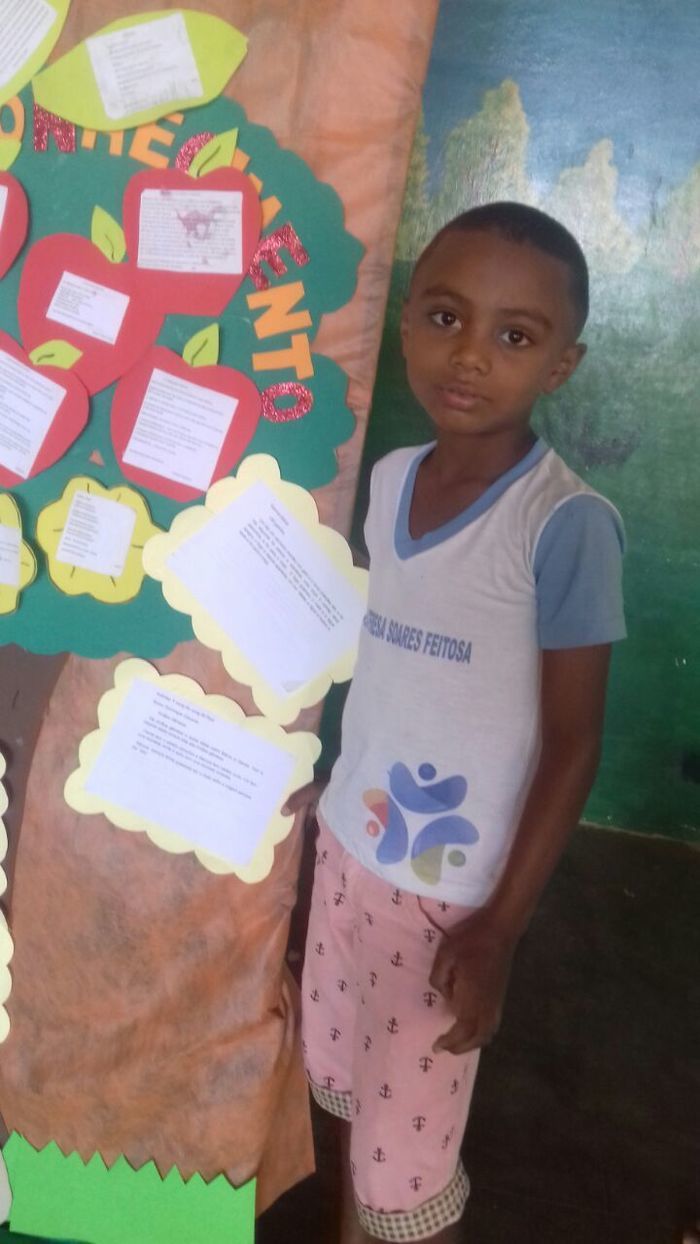 A Escola Municipal Teresa Feita Realizou a culminância de Projetos - Imagem 10