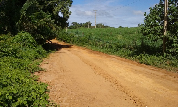 Prefeitura de Lagoinha começa recupera estrada Vicinal - Imagem 5