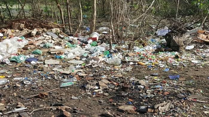 Palavras de quem acompanha de perto uma triste realidade - Imagem 2