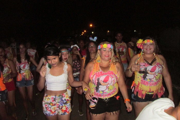 Carnaval de Agricolândia já deixa Saudades aos Foliões - Imagem 2