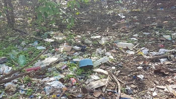 Palavras de quem acompanha de perto uma triste realidade - Imagem 1