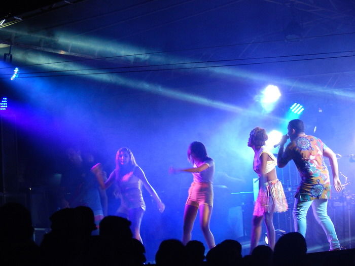 Folia de Carnaval - Imagem 24