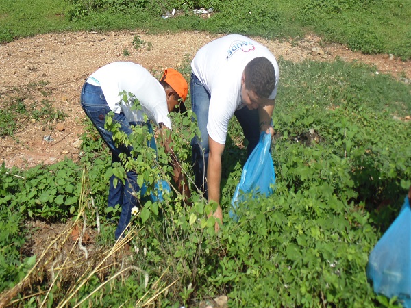 Mais de trezentas pessoas participam de mutirão em combate ao Aedes - Imagem 24