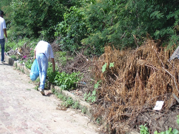 Mais de trezentas pessoas participam de mutirão em combate ao Aedes - Imagem 26