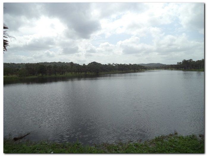 Lagoa dos Bangues, um lindo espetáculo da natureza - Imagem 1
