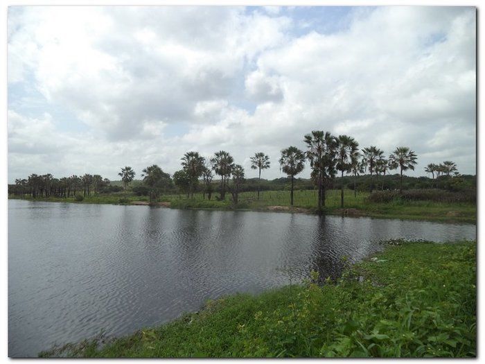 Lagoa dos Bangues, um lindo espetáculo da natureza - Imagem 4