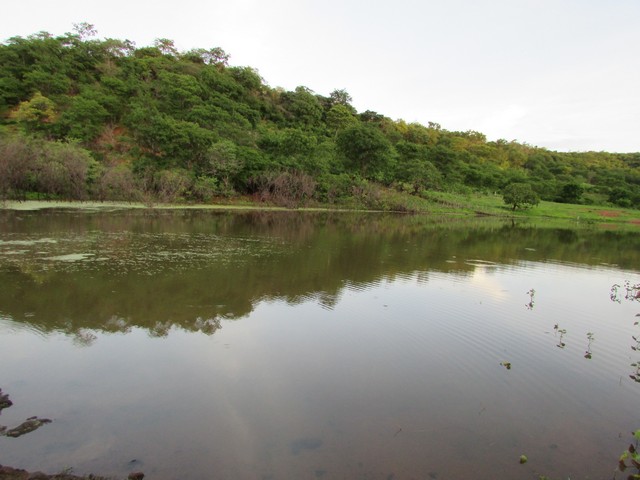 Prefeitura Distribui Alevinos nos Açudes de Ipiranga - Imagem 42