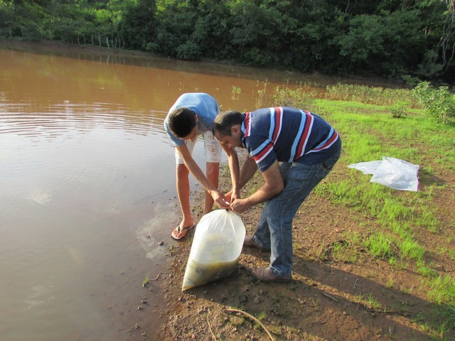 Prefeitura Distribui Alevinos nos Açudes de Ipiranga - Imagem 31