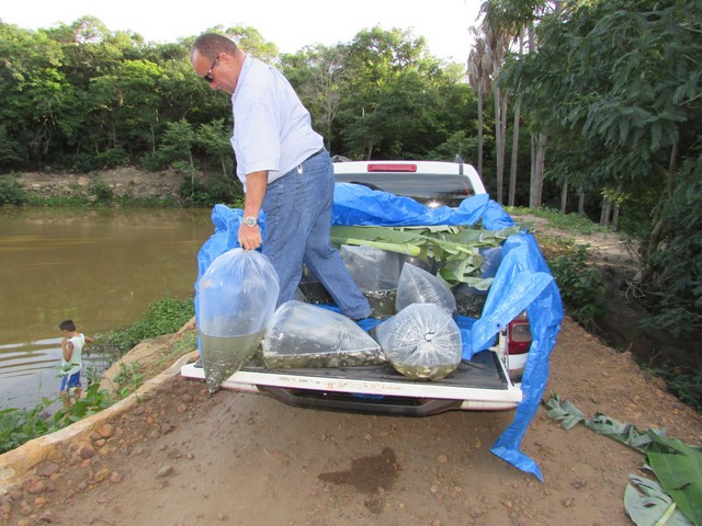 Prefeitura Distribui Alevinos nos Açudes de Ipiranga - Imagem 21