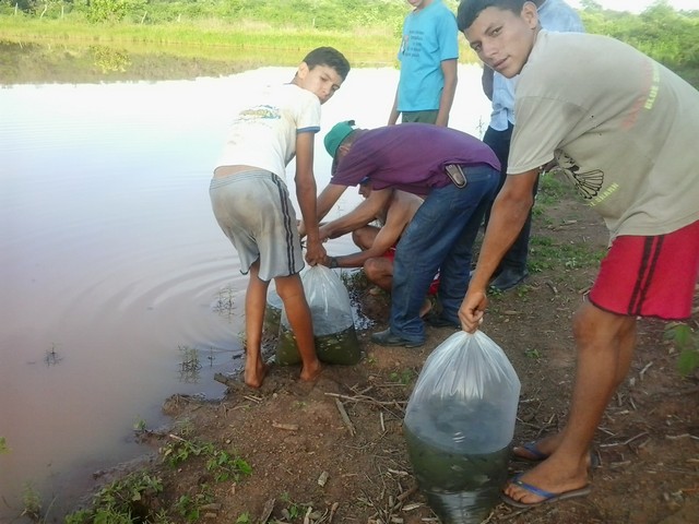 Prefeitura Distribui Alevinos nos Açudes de Ipiranga - Imagem 6