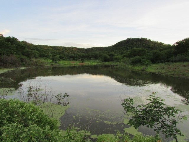 Prefeitura Distribui Alevinos nos Açudes de Ipiranga - Imagem 47