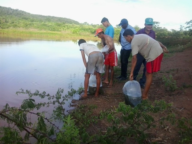 Prefeitura Distribui Alevinos nos Açudes de Ipiranga - Imagem 8