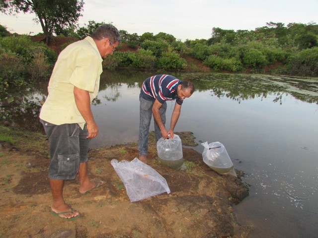 Prefeitura Distribui Alevinos nos Açudes de Ipiranga - Imagem 38