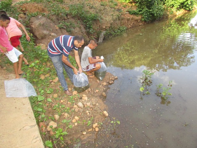 Prefeitura Distribui Alevinos nos Açudes de Ipiranga - Imagem 17