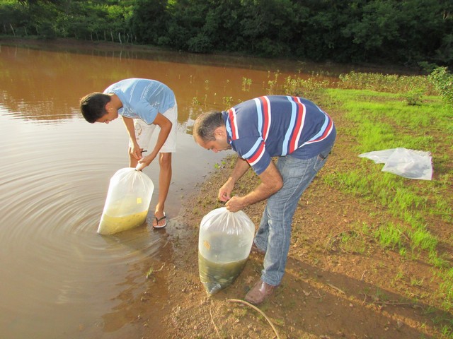 Prefeitura Distribui Alevinos nos Açudes de Ipiranga - Imagem 27