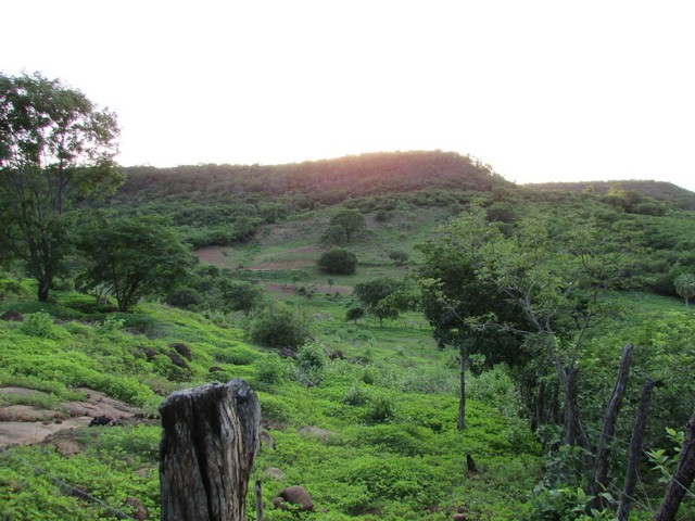 Prefeitura Distribui Alevinos nos Açudes de Ipiranga - Imagem 36