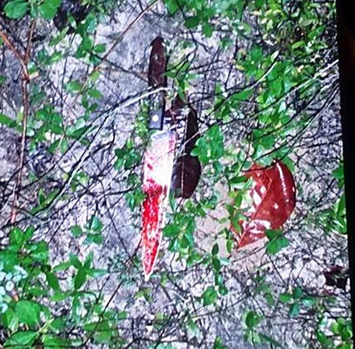 Homem é morto com 36 facadas após briga no litoral do Piauí - Imagem 4