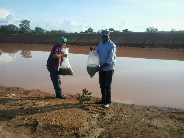Prefeitura Distribui Alevinos nos Açudes de Ipiranga - Imagem 2