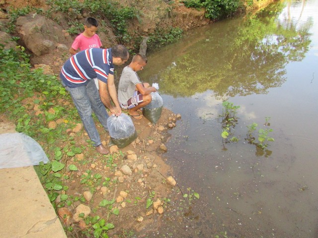 Prefeitura Distribui Alevinos nos Açudes de Ipiranga - Imagem 18