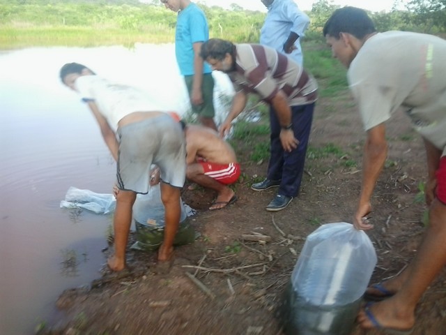 Prefeitura Distribui Alevinos nos Açudes de Ipiranga - Imagem 7