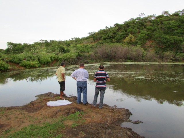 Prefeitura Distribui Alevinos nos Açudes de Ipiranga - Imagem 43