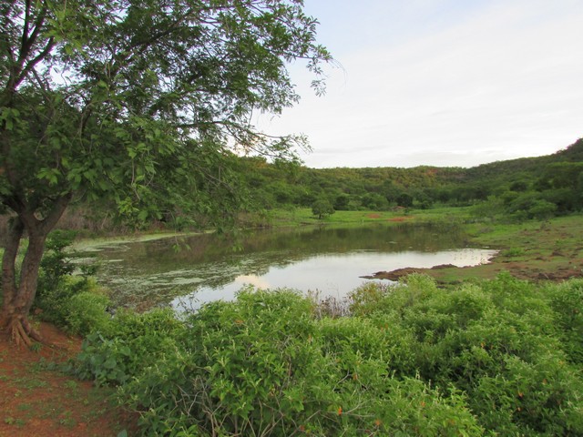 Prefeitura Distribui Alevinos nos Açudes de Ipiranga - Imagem 46