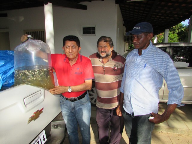 Prefeitura Distribui Alevinos nos Açudes de Ipiranga - Imagem 16