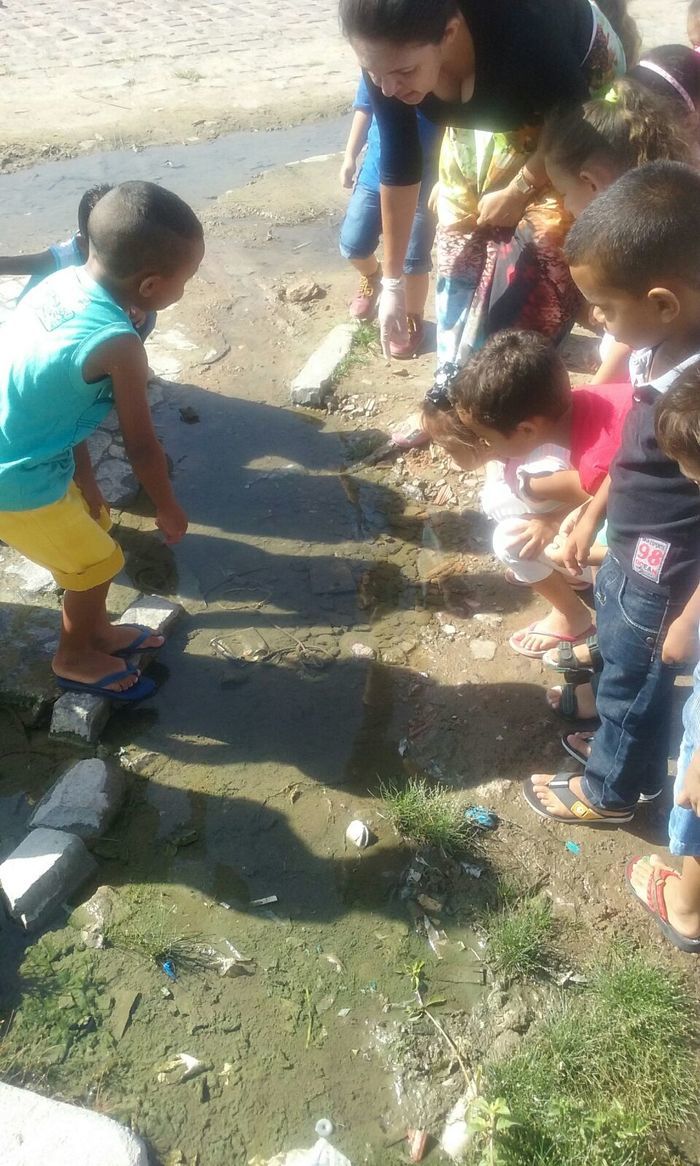 Educação de Alegrete se mobiliza em combate ao Aedes aegypti - Imagem 6