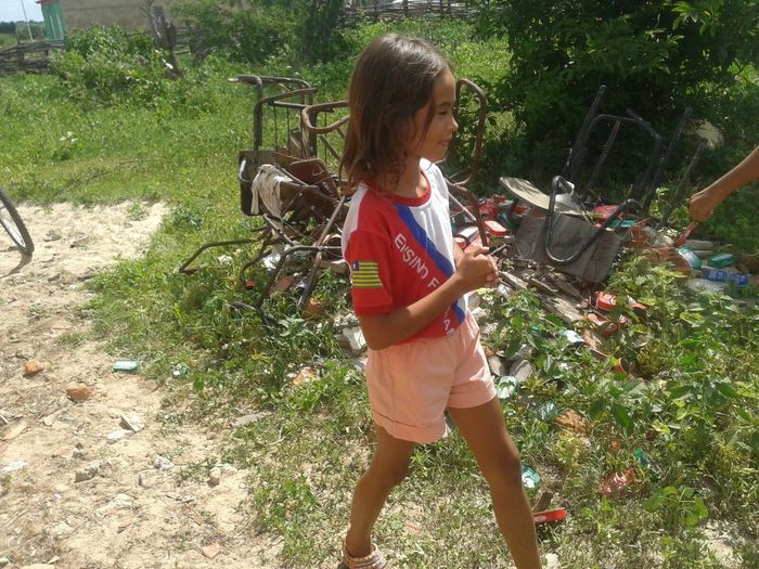 Educação de Alegrete se mobiliza em combate ao Aedes aegypti - Imagem 36