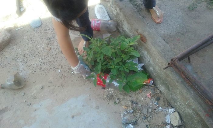 Educação de Alegrete se mobiliza em combate ao Aedes aegypti - Imagem 3