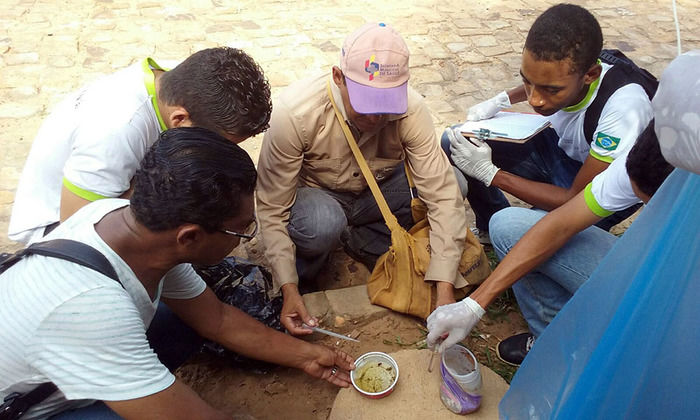 Prefeitura de Oeiras promove “Faxinaço” nos bairros Uberaba I e II - Imagem 9
