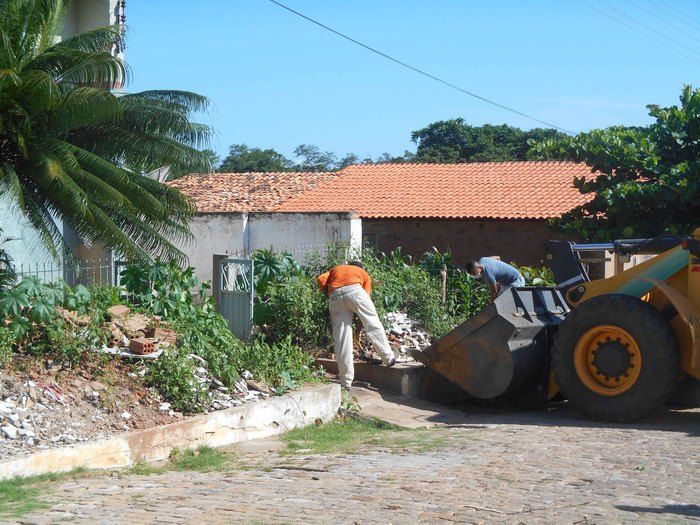 Combate ao Aedes Aegypit - Imagem 2