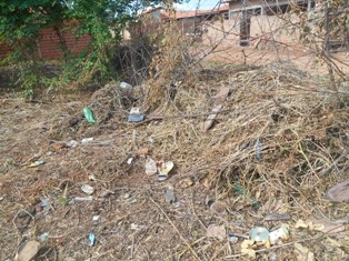 Combate ao Aedes Aegypit - Imagem 16