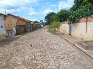 Combate ao Aedes Aegypit - Imagem 25