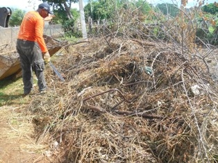 Combate ao Aedes Aegypit - Imagem 12
