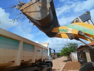 Combate ao Aedes Aegypit - Imagem 17