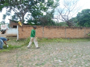 Combate ao Aedes Aegypit - Imagem 19