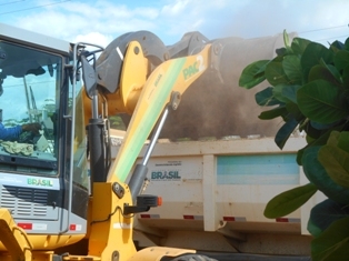 Combate ao Aedes Aegypit - Imagem 41