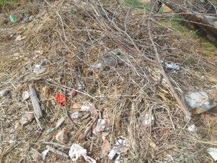 Combate ao Aedes Aegypit - Imagem 14