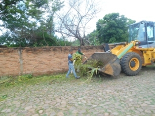 Combate ao Aedes Aegypit - Imagem 21