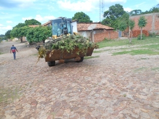 Combate ao Aedes Aegypit - Imagem 27